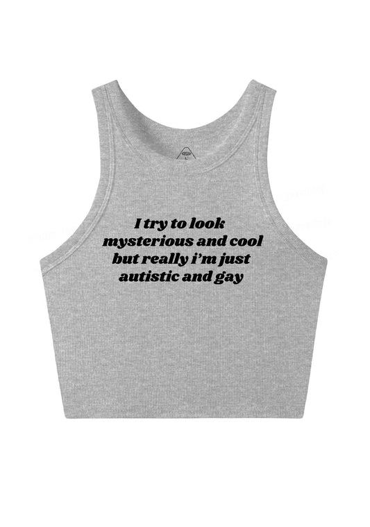 Im Just Autistic And Gay Pride Y2K Crop Tank Top Cherrykitten