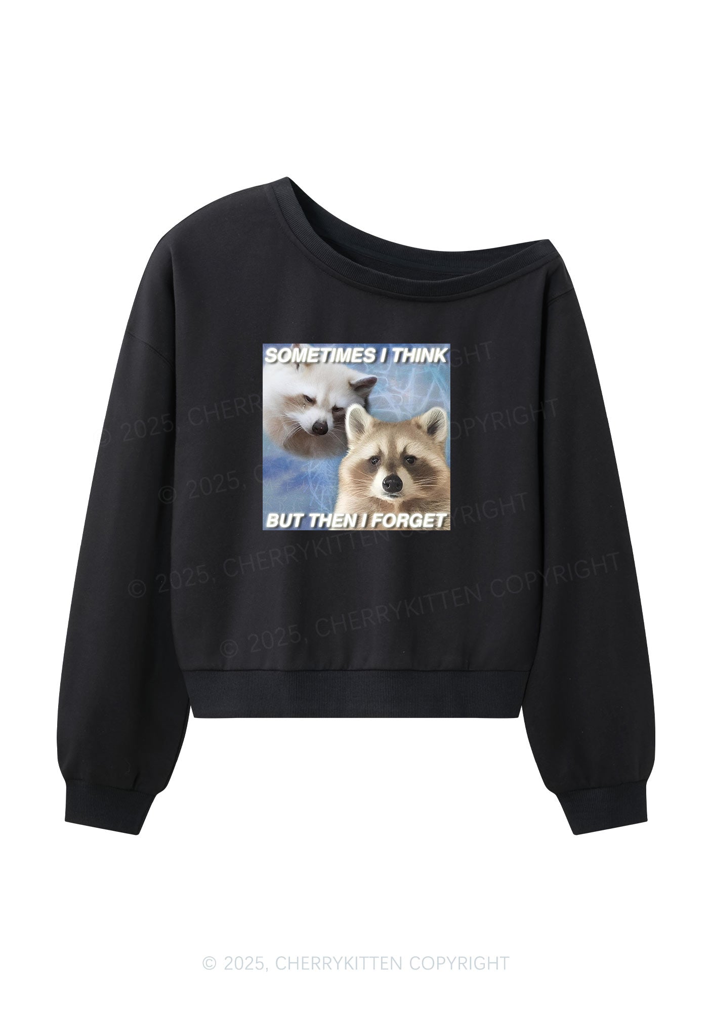 Raccoon Sometimes Think Y2K Off Shoulder Sweatshirts Cherrykitten