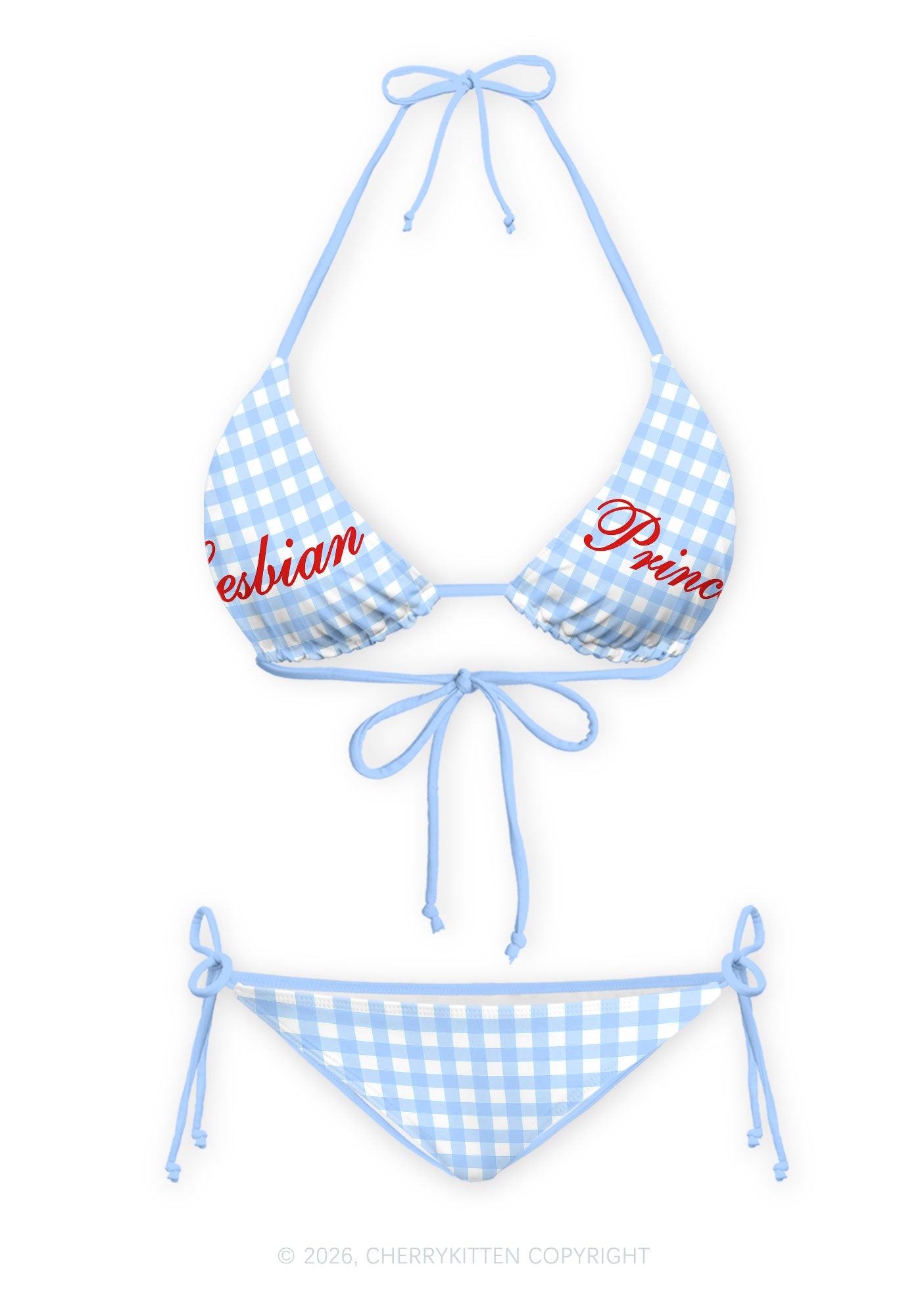 Blue Plaid Lesbian Princess Pride Y2K Print Bikini Set Cherrykitten