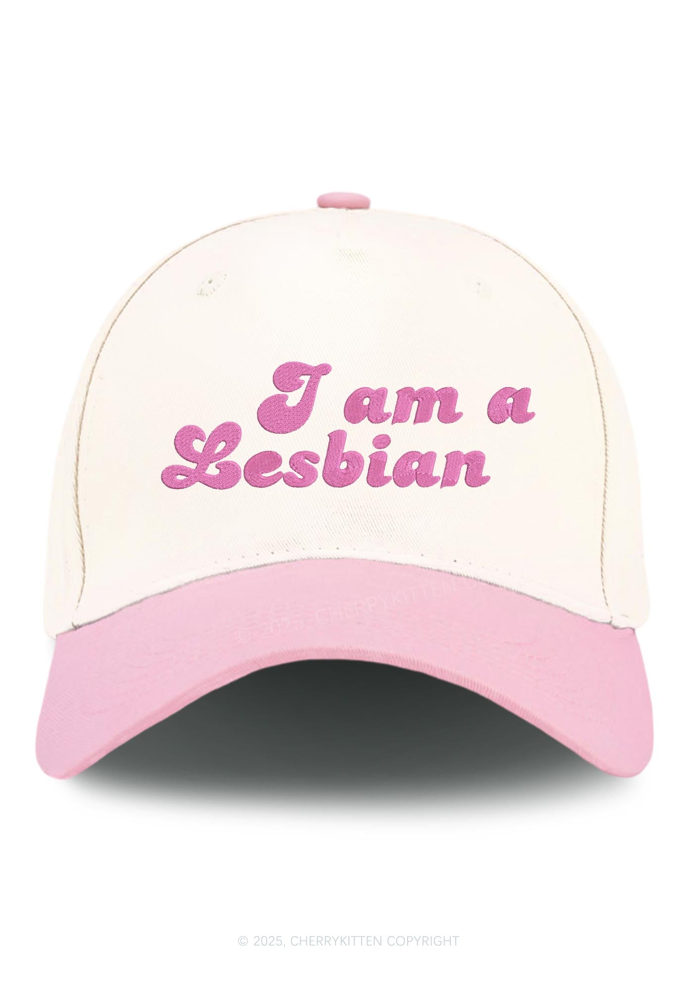 Embroidered Im Lesbian Pride Y2K Color Block Baseball Cap Cherrykitten