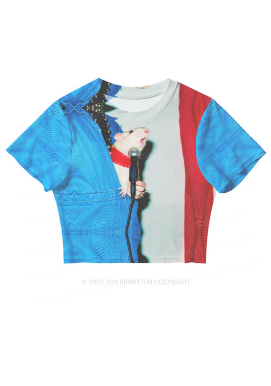 Singer Ratz Y2K Mesh Crop Top Cherrykitten