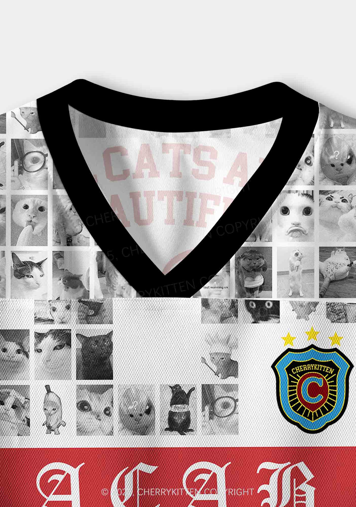 Custom ACAB Cats Y2K Crop Sport Jersey Shirts Cherrykitten