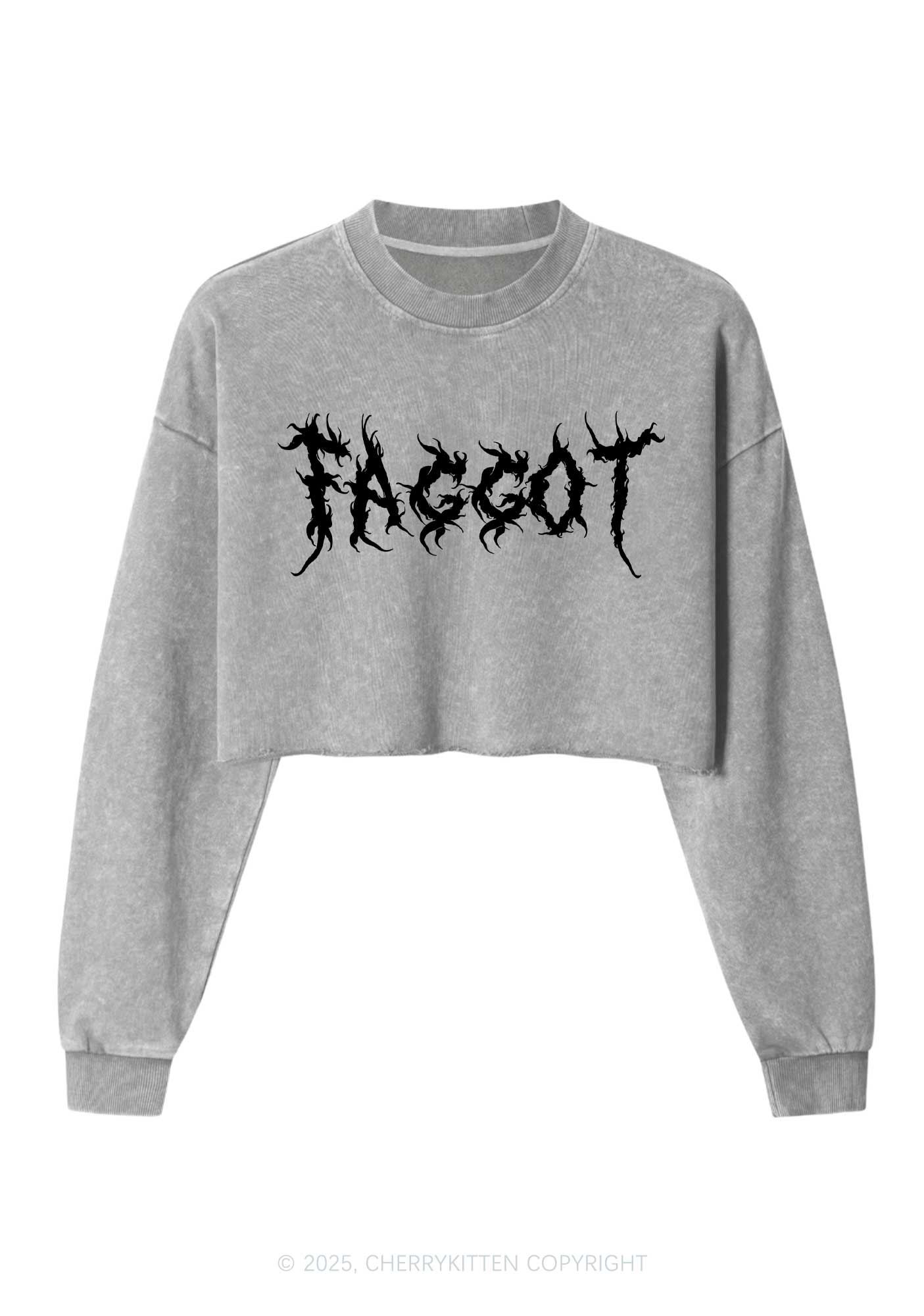 Punk Faggot Pride Y2K Crop Washed Sweatshirts Cherrykitten