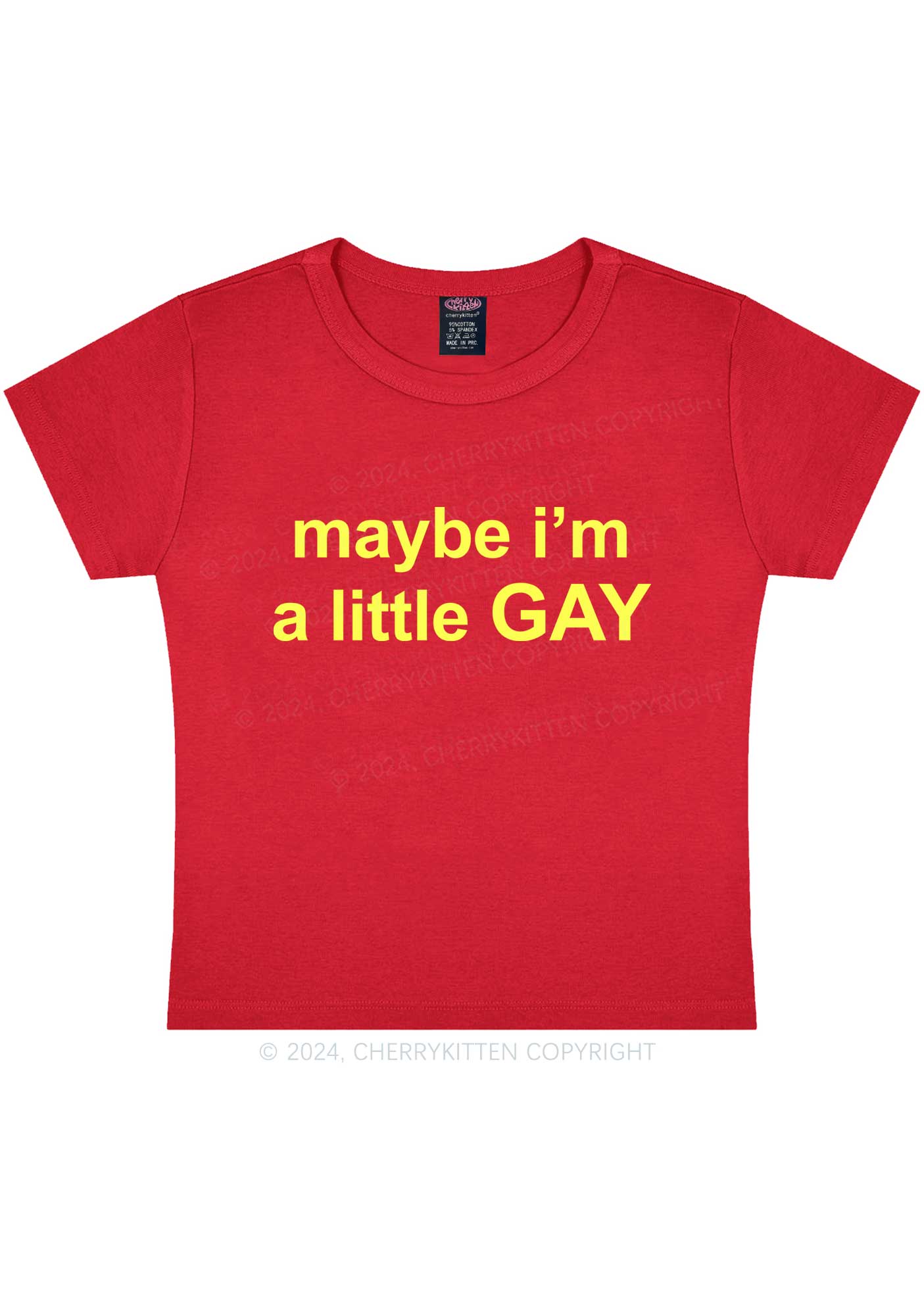 Maybe I'm A Gay Y2K Baby Tee Cherrykitten