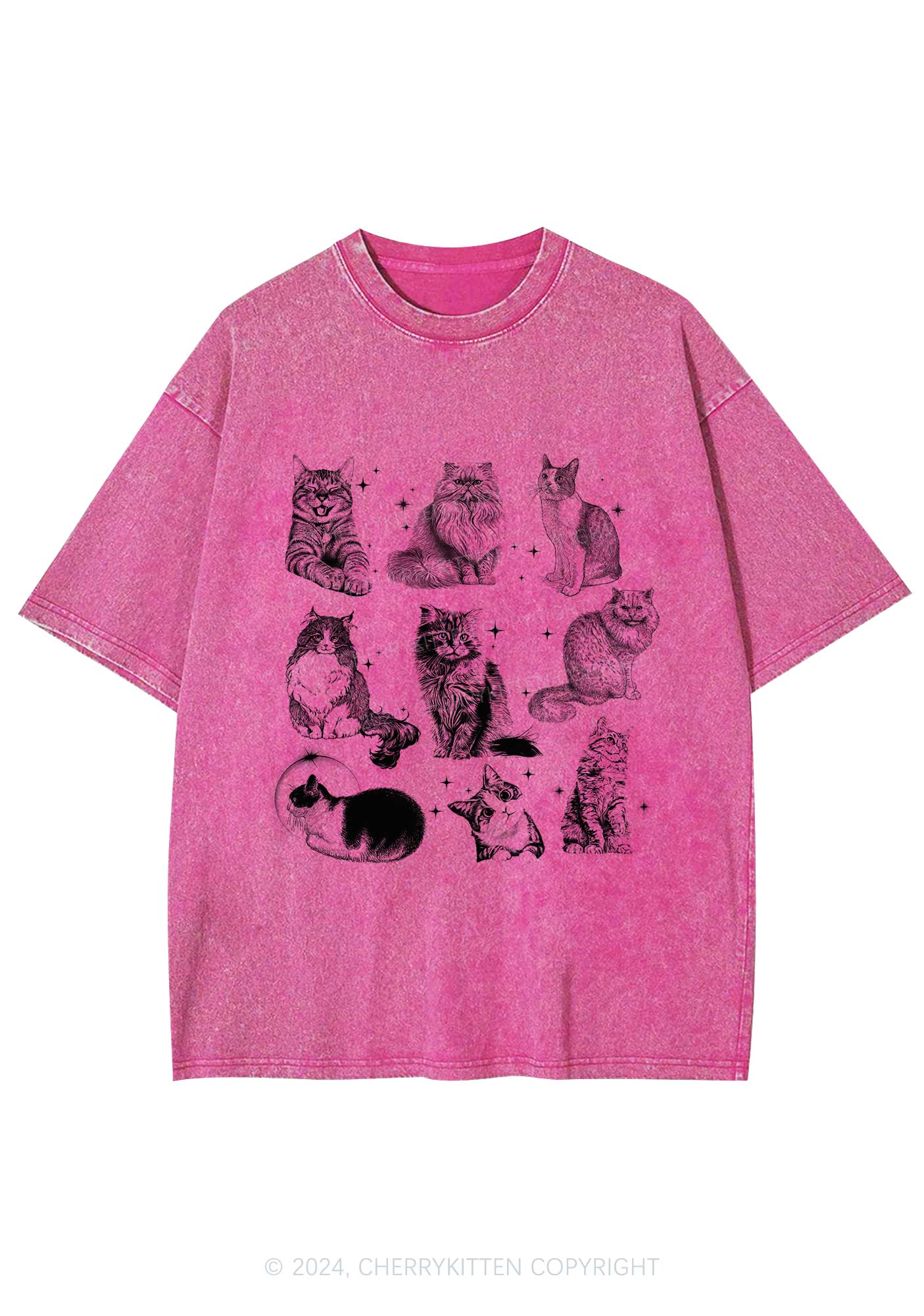 Retro Kitten Y2K Washed Tee Cherrykitten