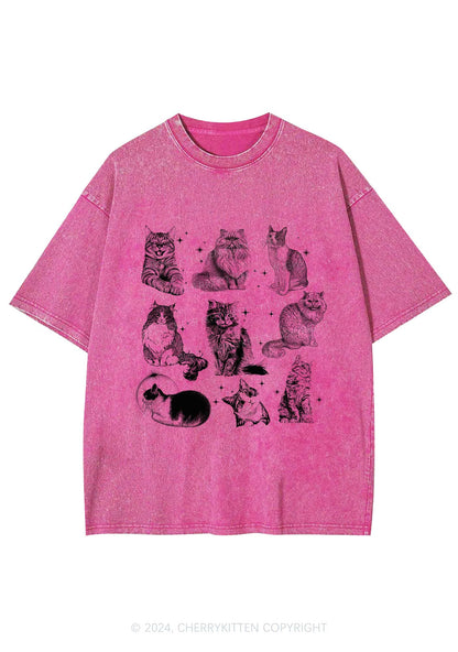 Retro Kitten Y2K Washed Tee Cherrykitten