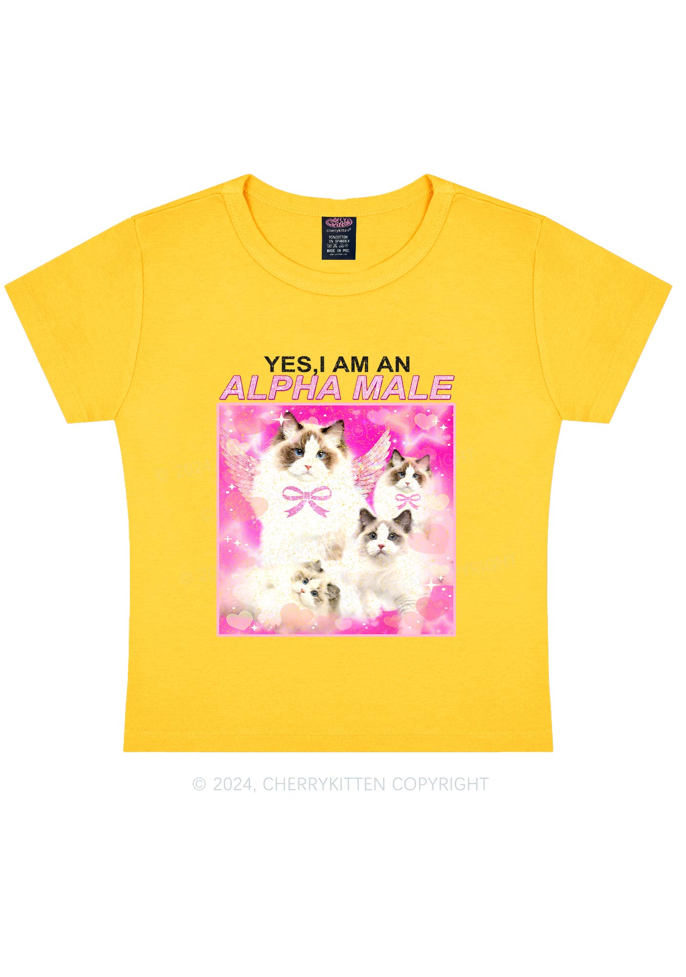 Alpha Male Y2K Baby Tee Cherrykitten