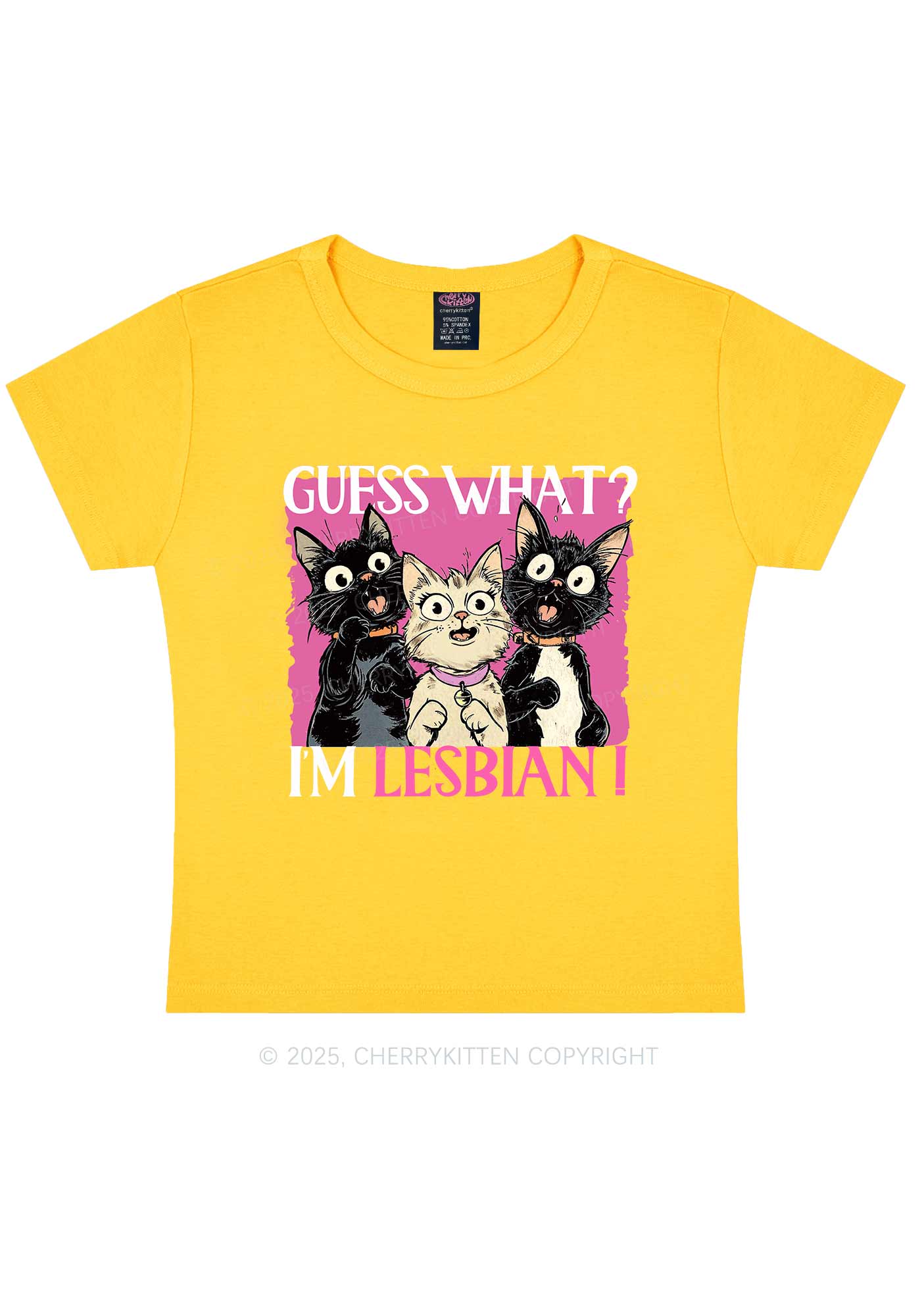 Im Lesbian Cat Pride Y2K Baby Tee Cherrykitten