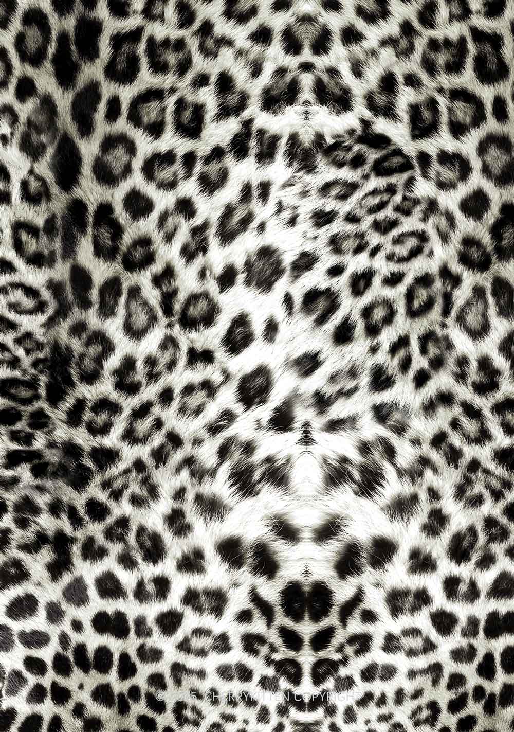 Wild Leopard Y2K Print Mini Skirt Cherrykitten