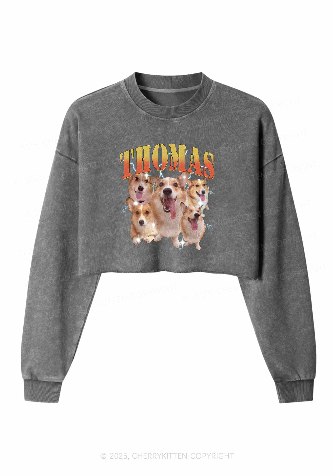 Custom Pet Photo Y2K Crop Washed Sweatshirts Cherrykitten