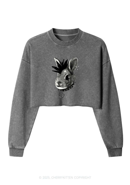 Custom Punk Pet Y2K Crop Washed Sweatshirts Cherrykitten