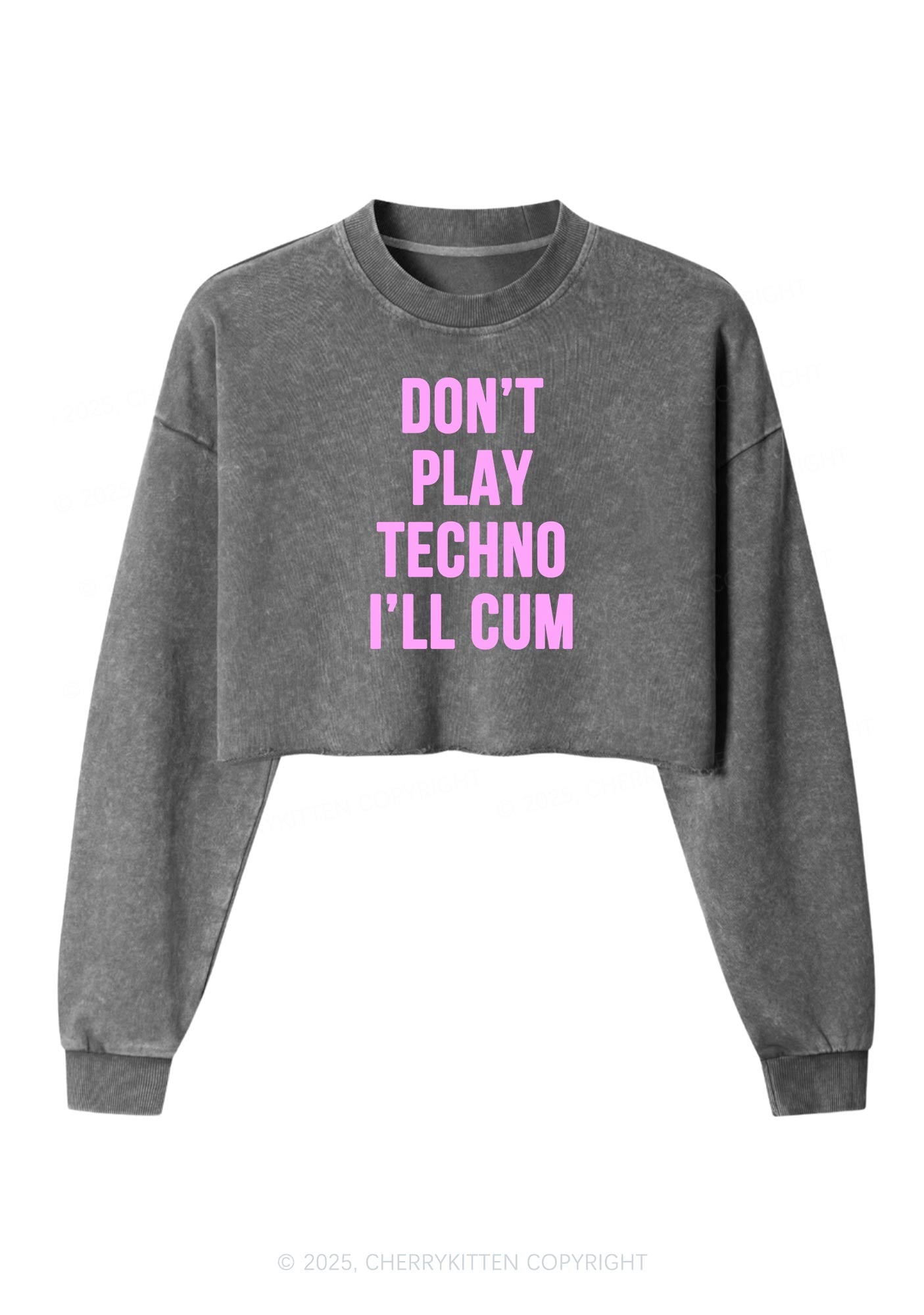 Dont Play Techno Y2K Crop Washed Sweatshirts Cherrykitten