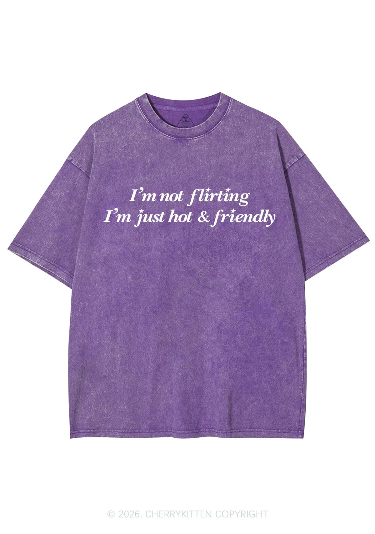 Just Hot And Friendly Y2K Shirts Washed Tee Cherrykitten