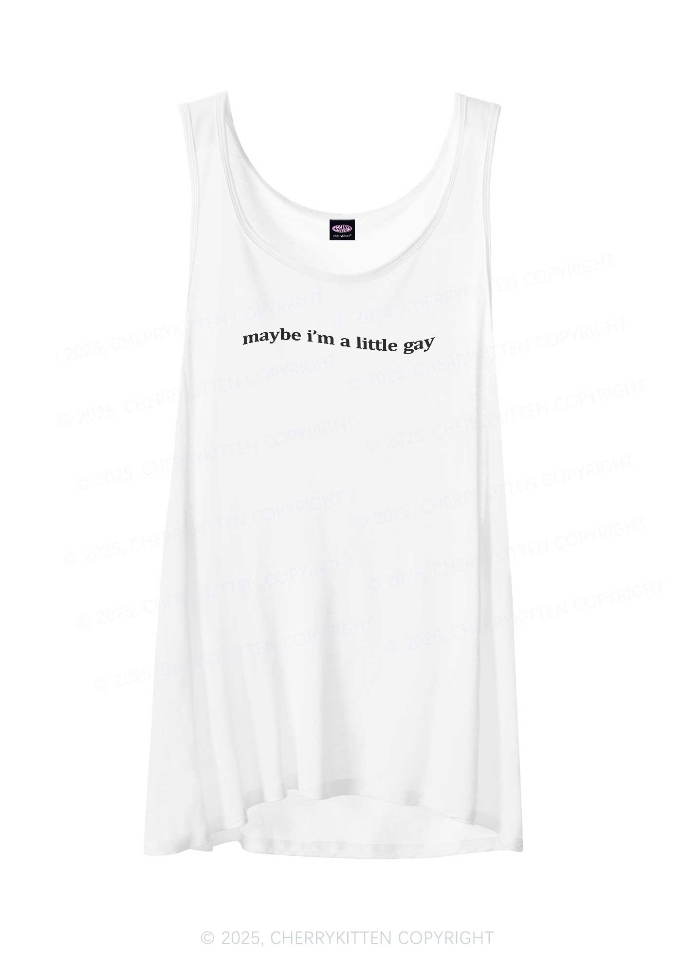 Maybe Im A Little Gay Pride Y2K Sheer Boyfriend Tank Cherrykitten