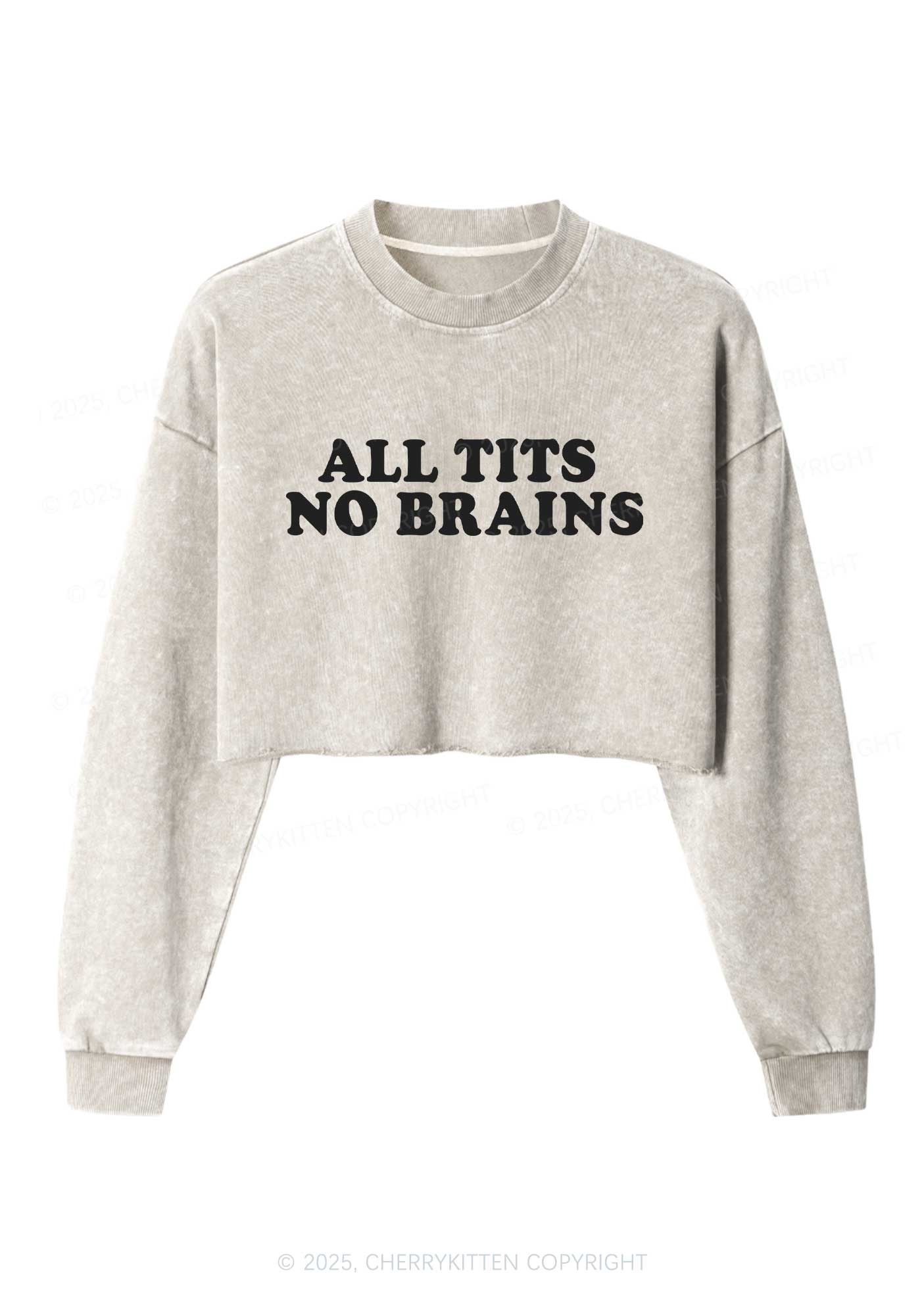All Txts No Brains Y2K Crop Washed Sweatshirts Cherrykitten