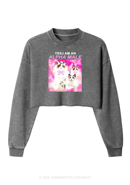 Alpha Male Y2K Crop Washed Sweatshirts Cherrykitten