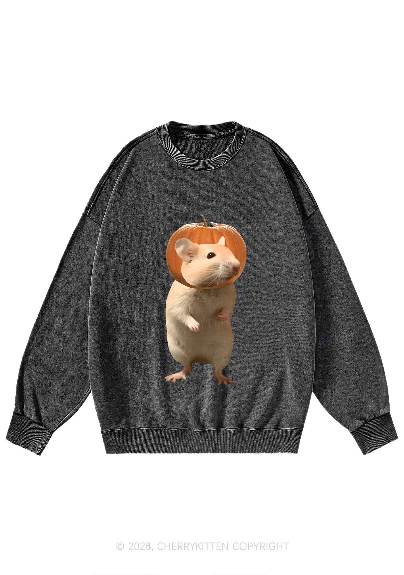 Halloween Silly Ratz Y2K Washed Sweatshirts Cherrykitten