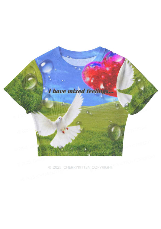 Dove And Mixed Feelings Y2K Mesh Crop Top Cherrykitten
