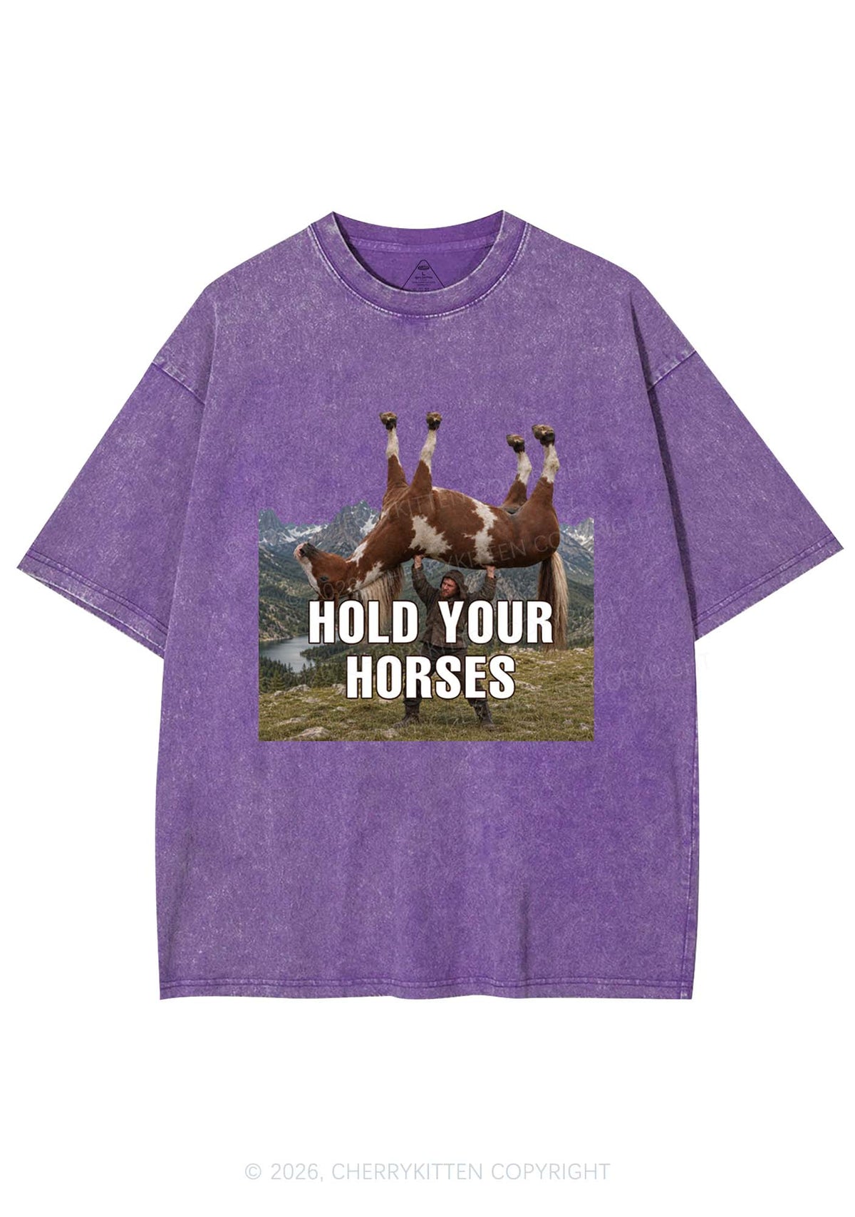 Man Hold Your Horses Y2K Shirts Washed Tee Cherrykitten