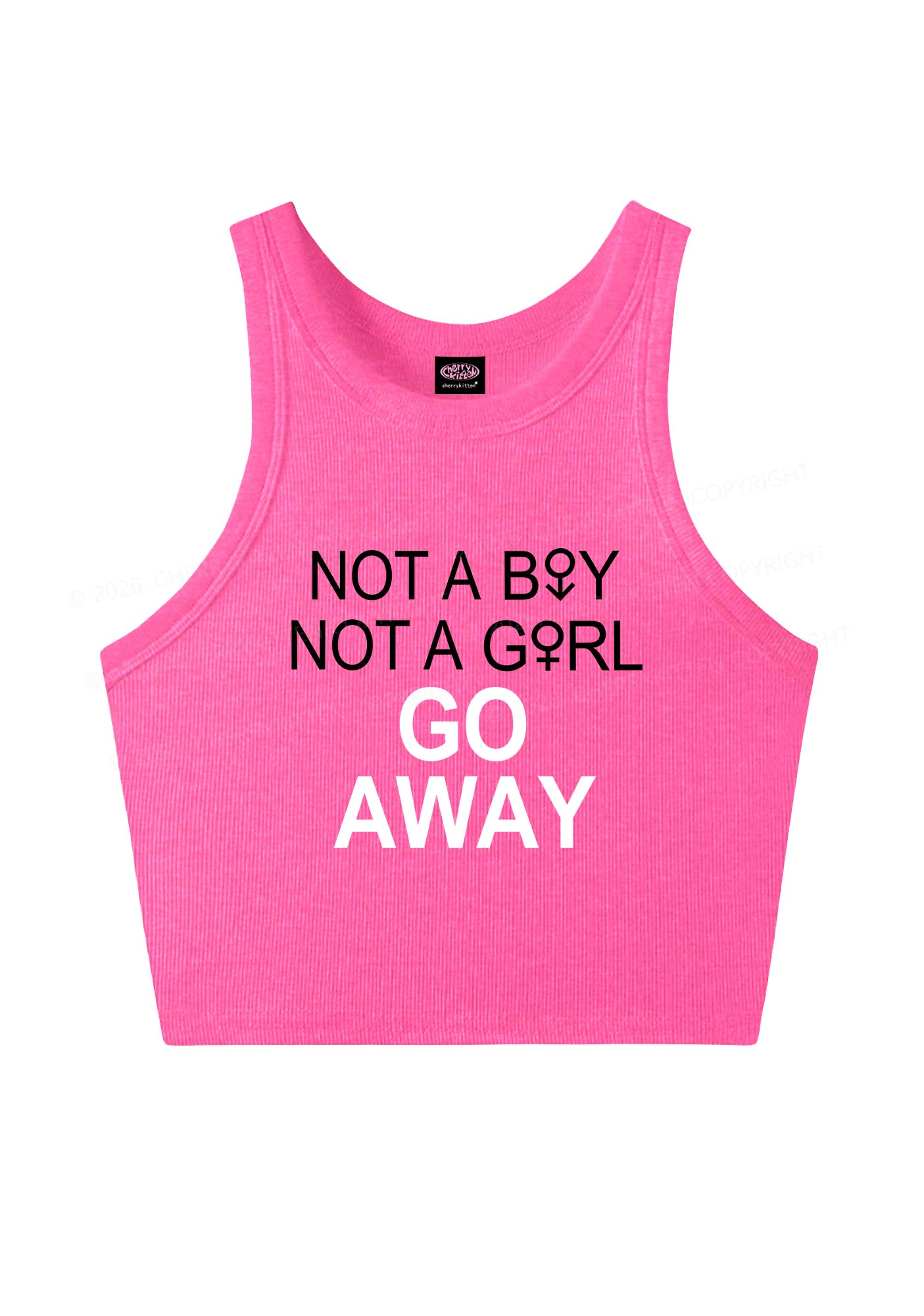 Go Away Pride Y2K Crop Tank Top Cherrykitten