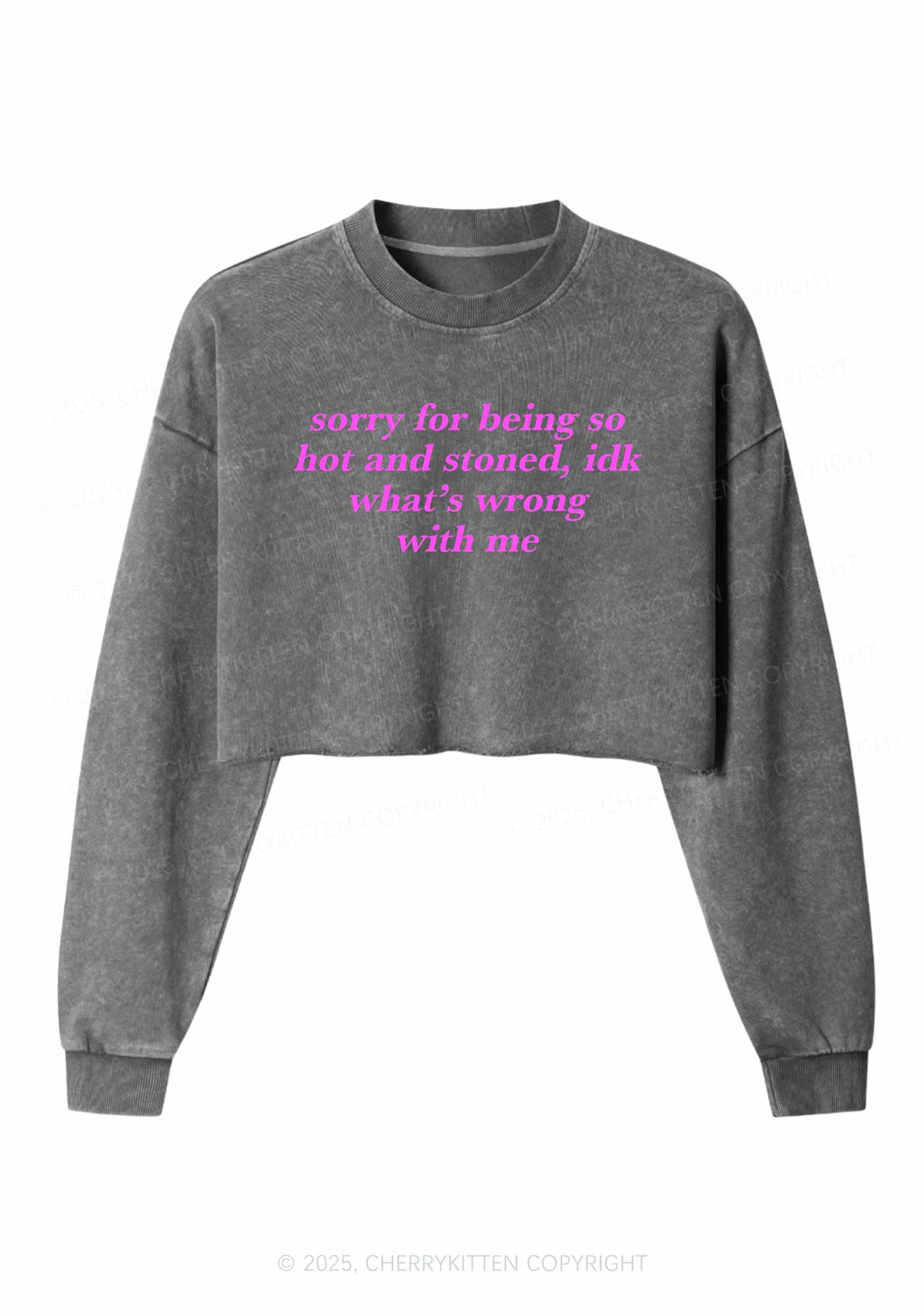 Sorry For Being Hot And Stoned Y2K Crop Washed Sweatshirts Cherrykitten