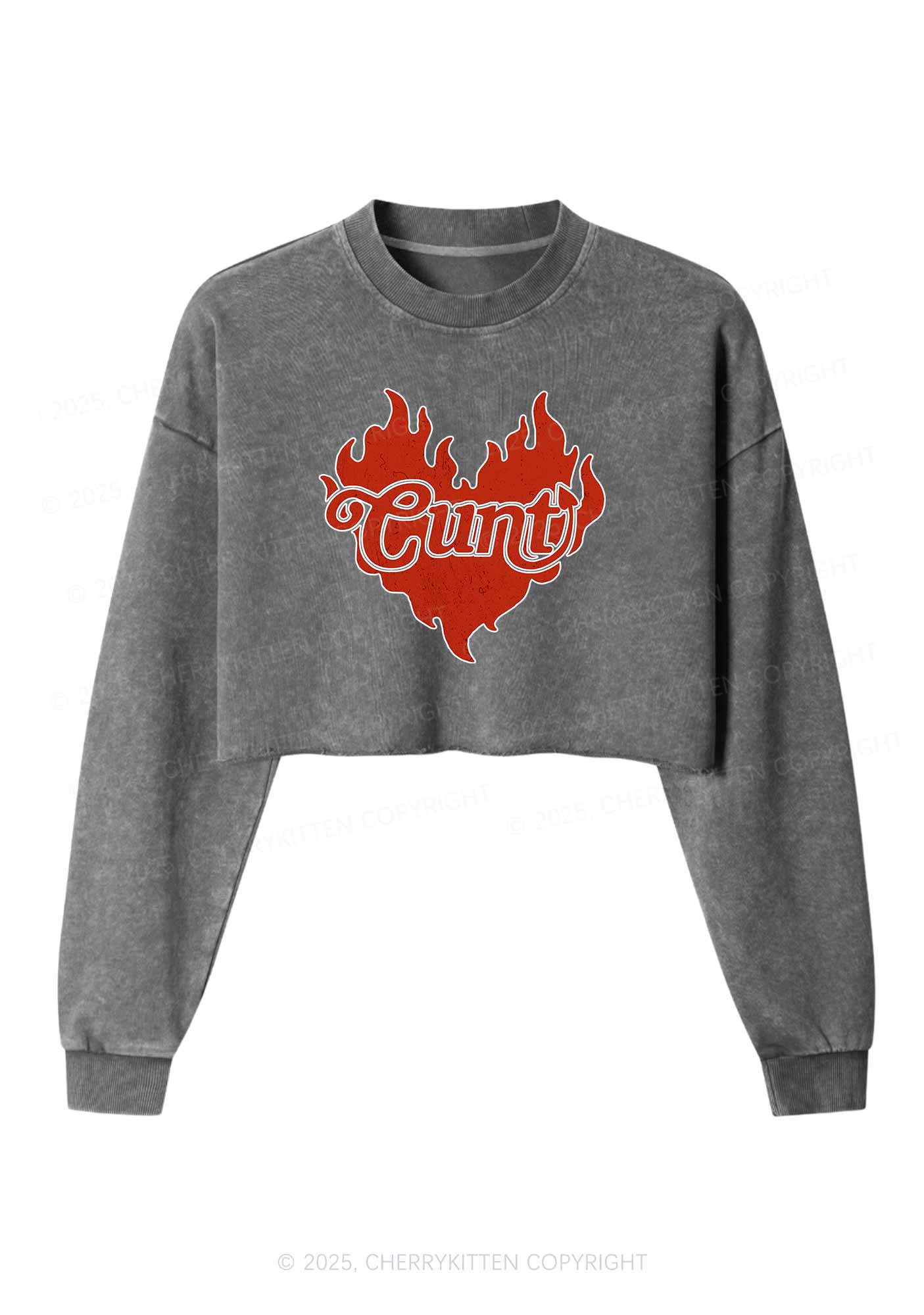 Cxxt Devil Y2K Valentine's Day Crop Washed Sweatshirts Cherrykitten