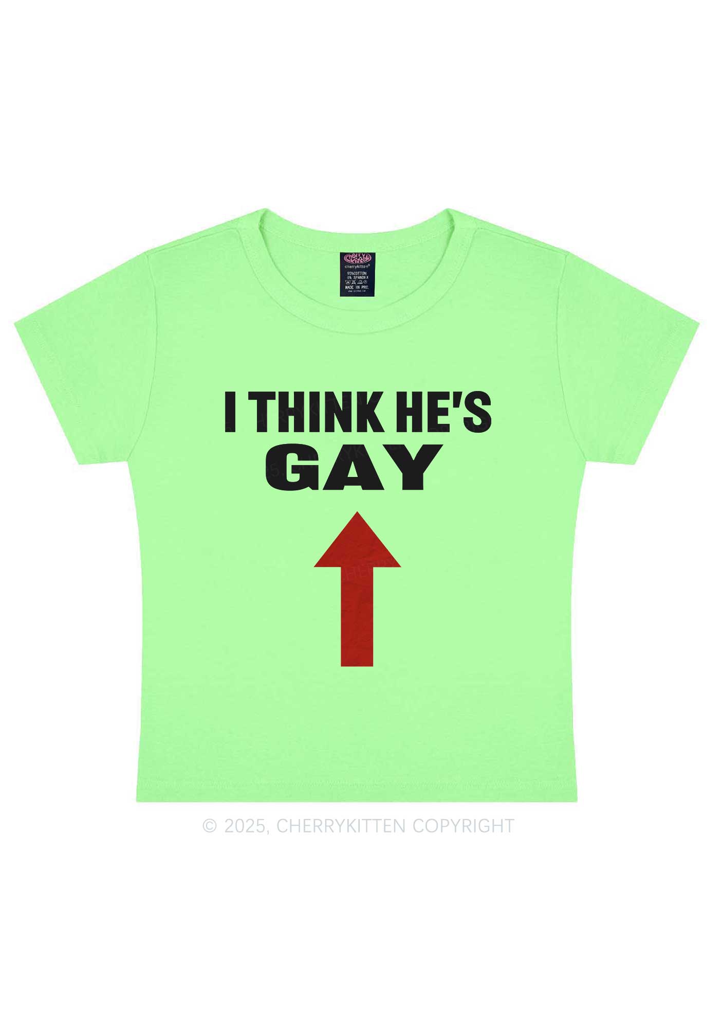 He Is Gay Y2K Baby Tee Cherrykitten