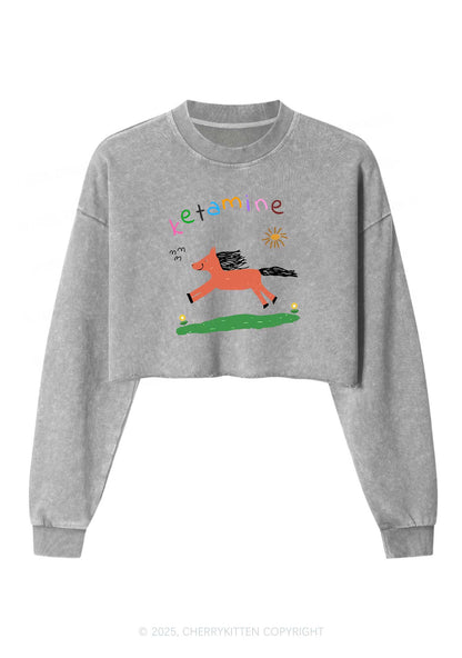 Orange Pony Y2K Crop Washed Sweatshirts Cherrykitten