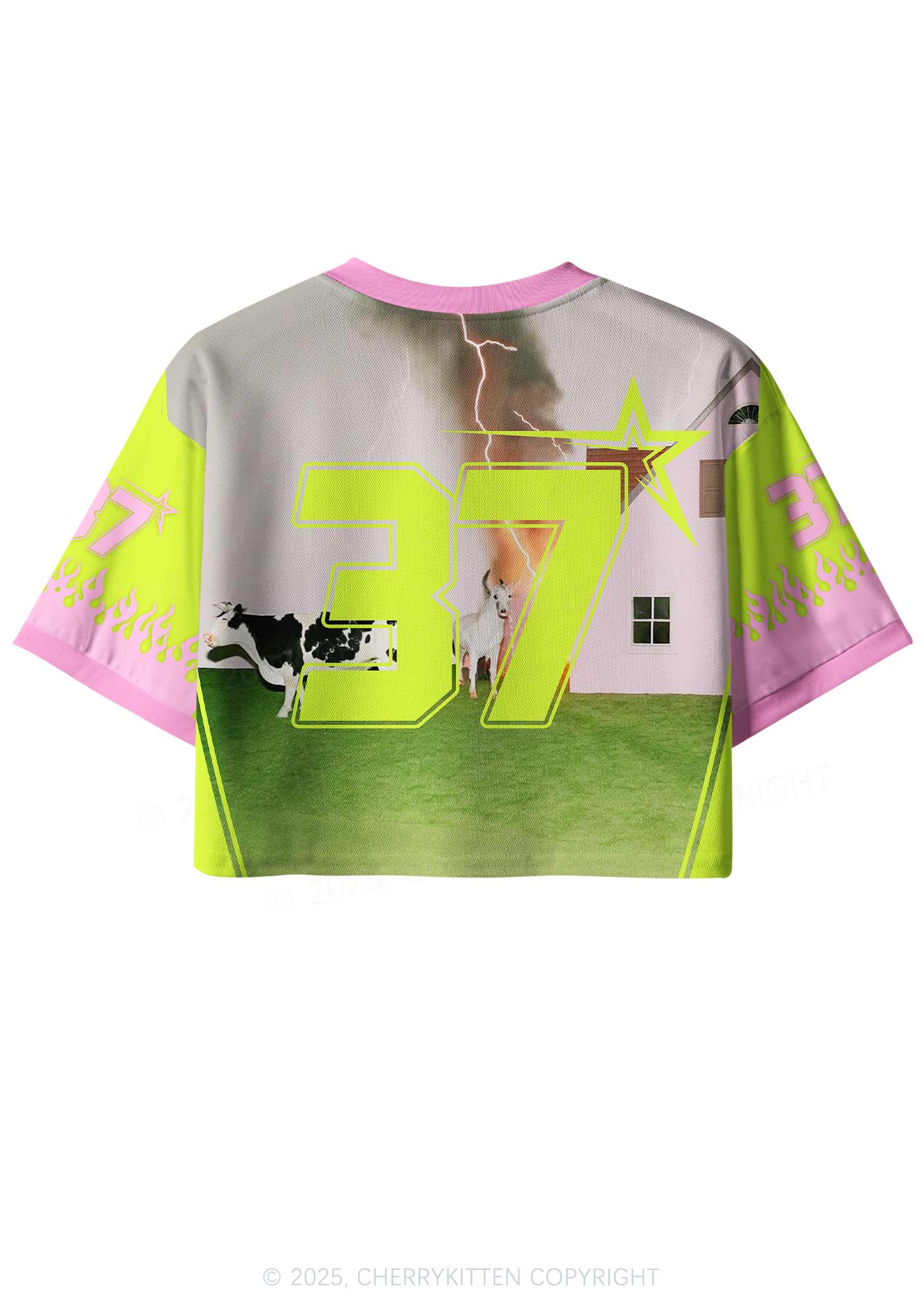 Custom Pony Cow Y2K Crop Sport Jersey Shirts Cherrykitten