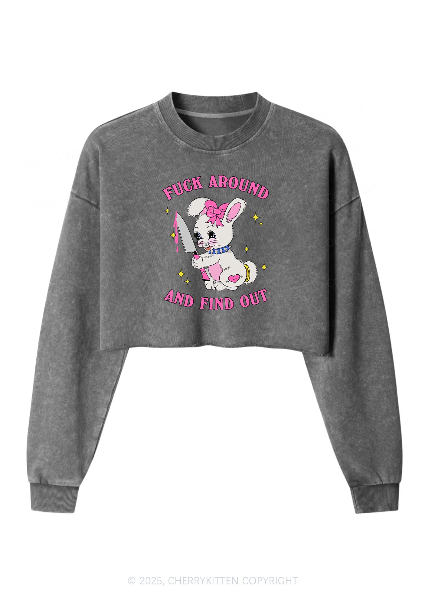Fxxk Around Bunny Y2K Crop Washed Sweatshirts Cherrykitten