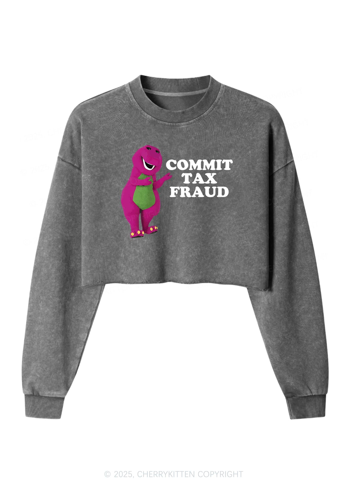 Commit Tax Fraud Y2K Crop Washed Sweatshirts Cherrykitten