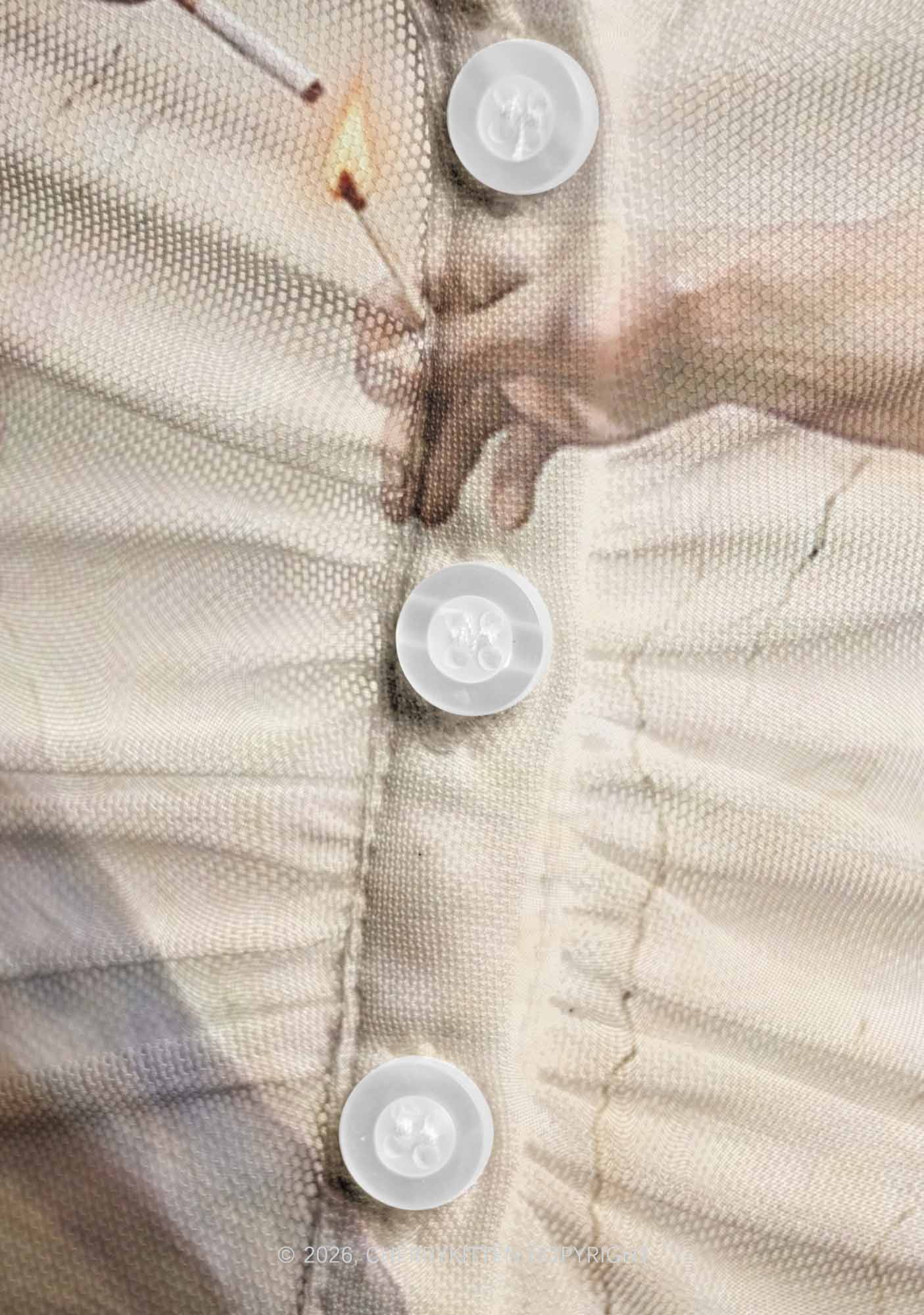 God Smoking Horse Y2K Mesh Ruched? Waist??V Neck?Top Cherrykitten