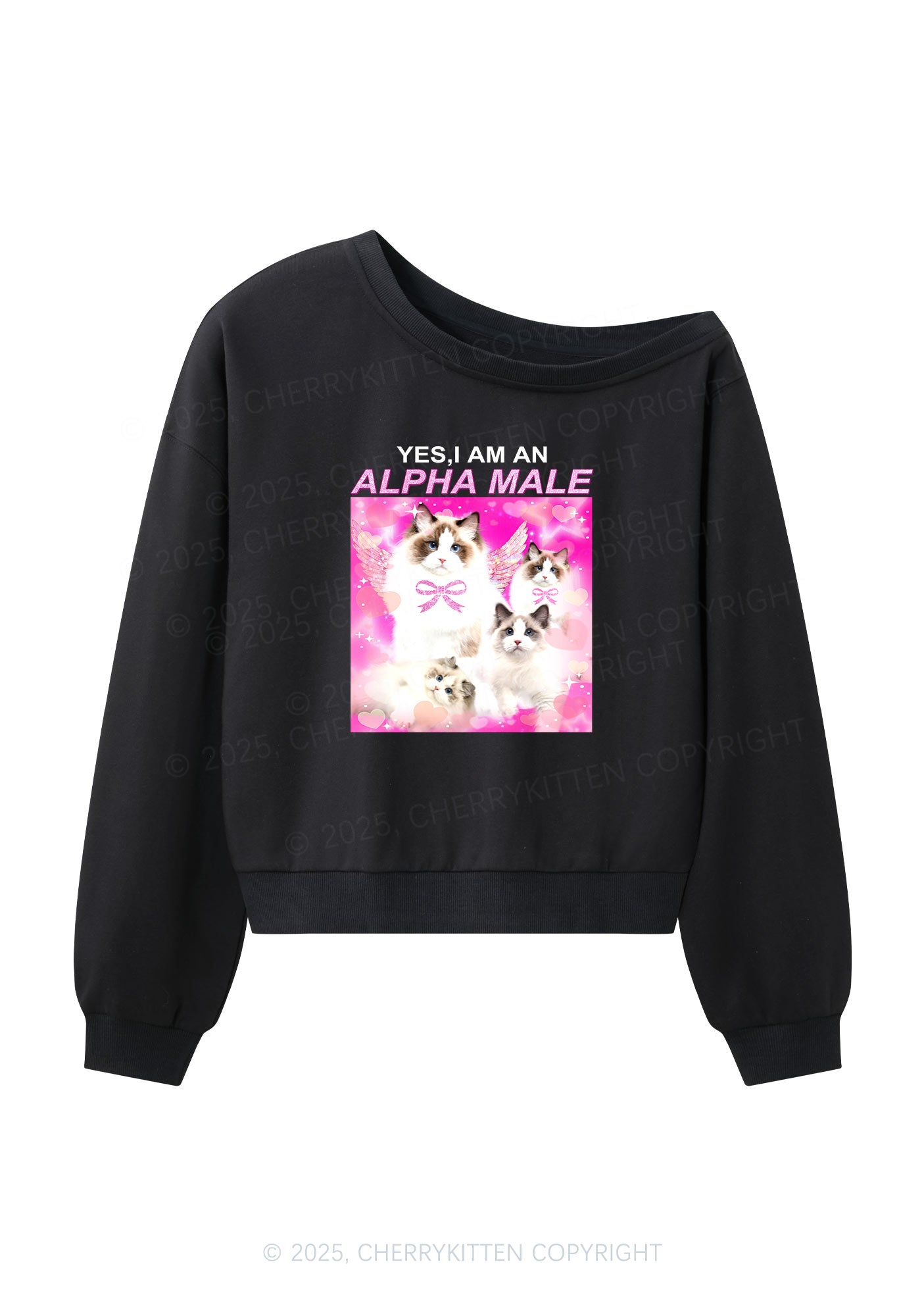 Alpha Male Y2K Off Shoulder Sweatshirts Cherrykitten