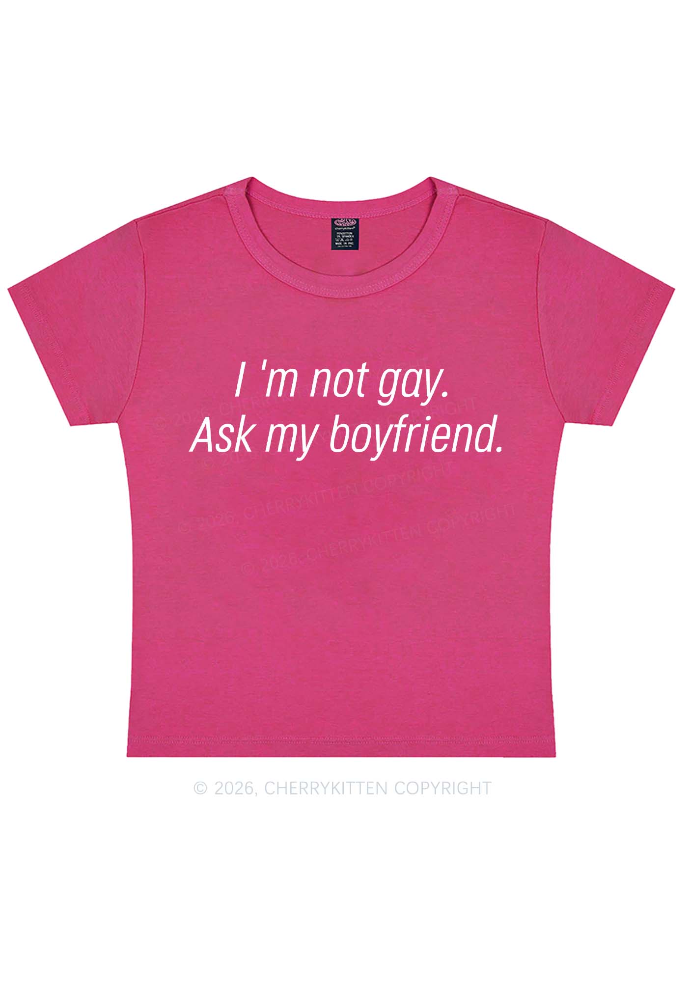 Im Not Gay Pride Y2K Baby Tee Cherrykitten