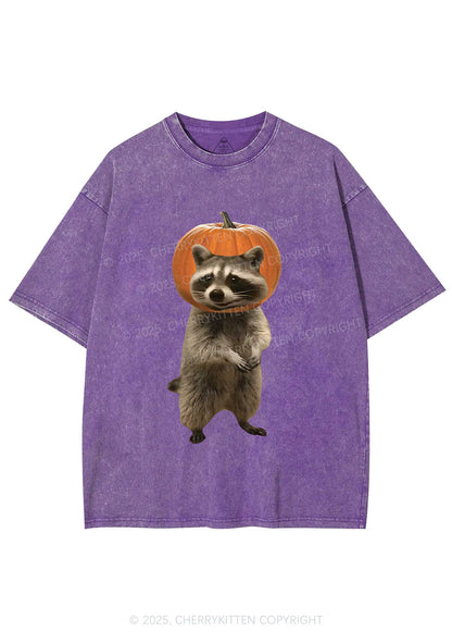 Halloween Silly Raccoon Y2K Shirts Washed Tee Cherrykitten