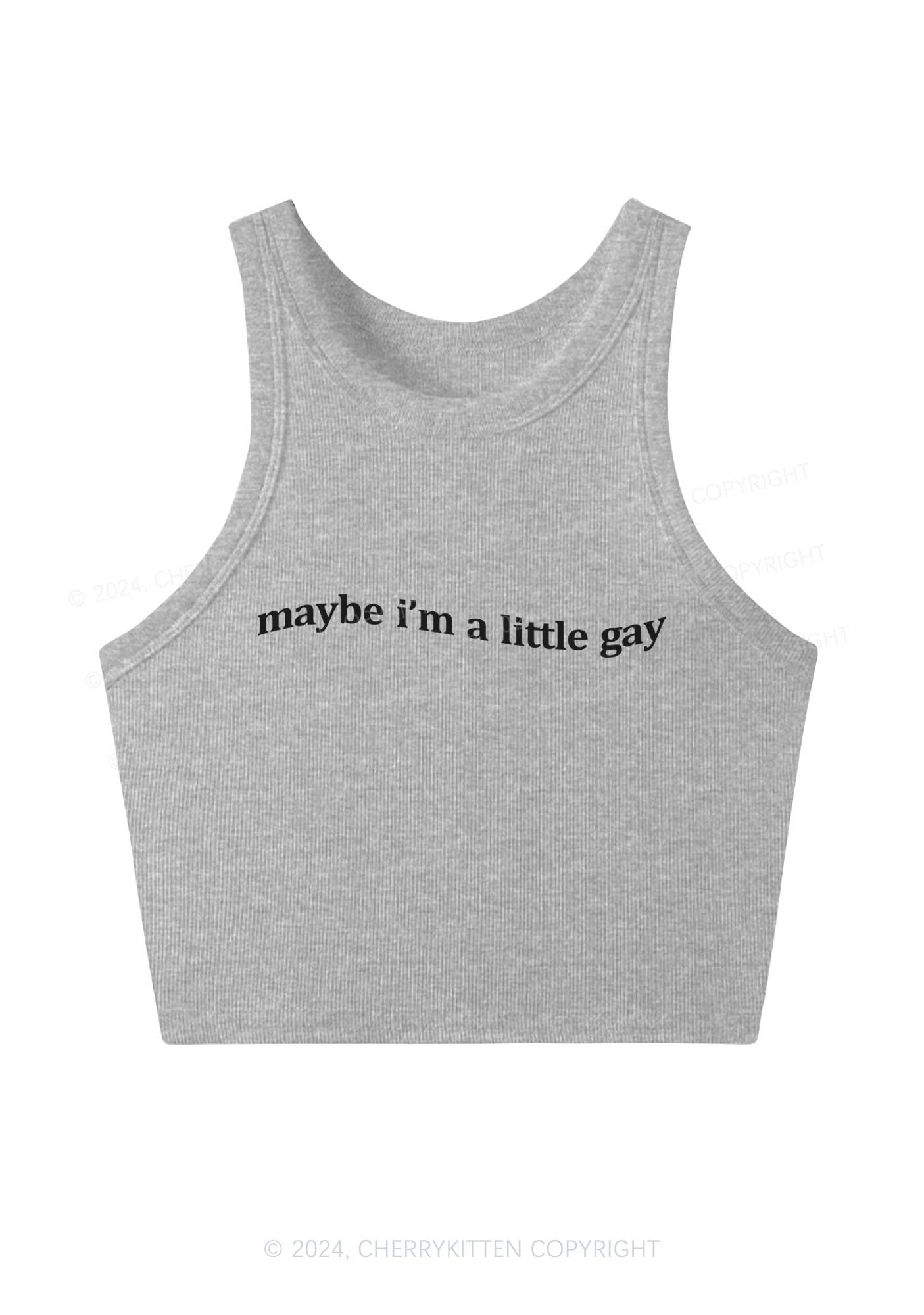 Maybe I'm A Little Gay Y2K Crop Tank Top Cherrykitten
