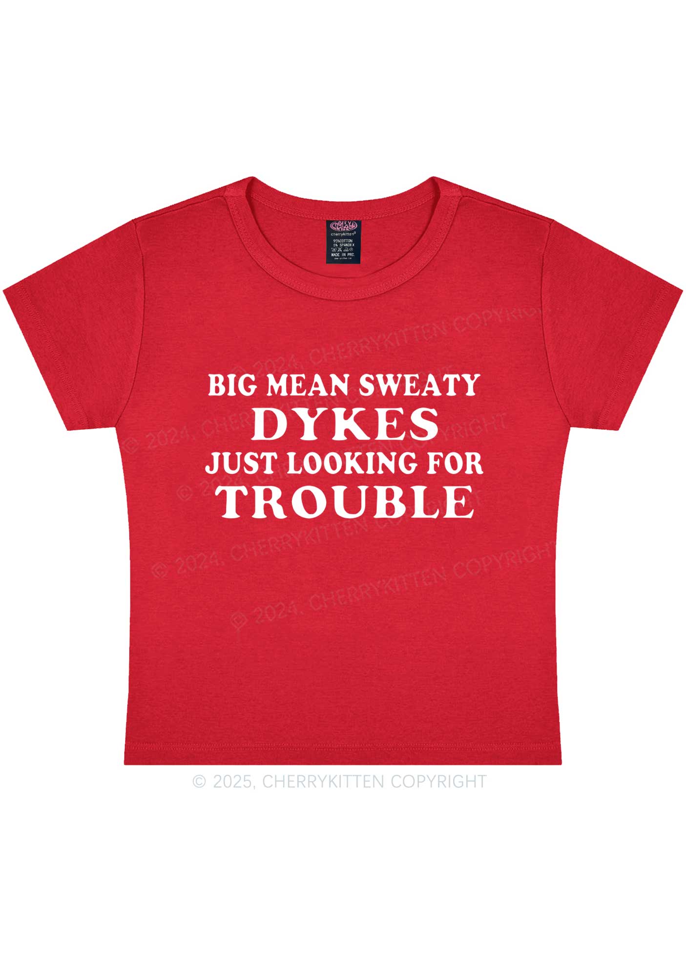 Dykes Trouble Y2K Baby Tee Cherrykitten