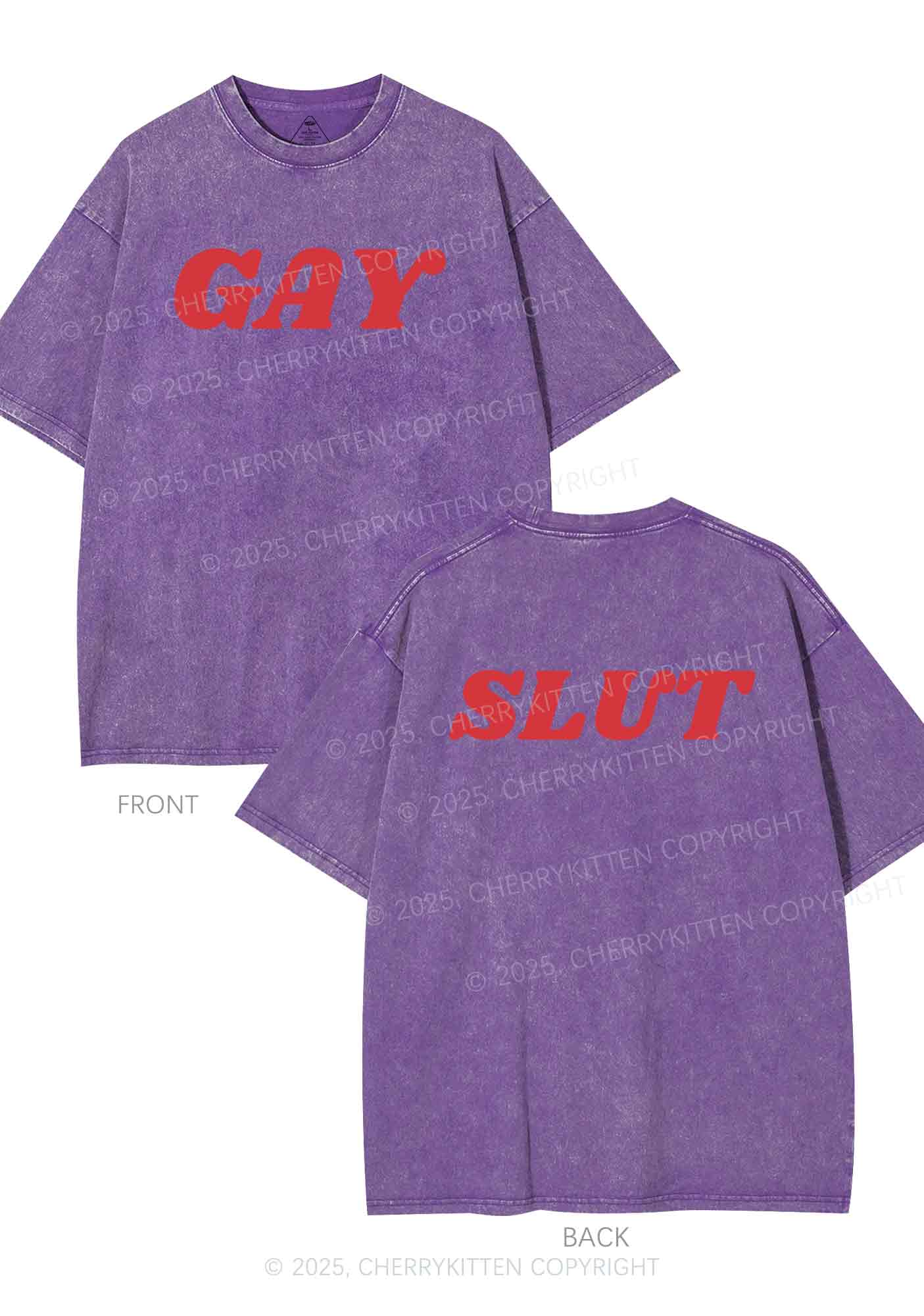 Gay Slxt Two Sides Pride Y2K Shirts Washed Tee Cherrykitten