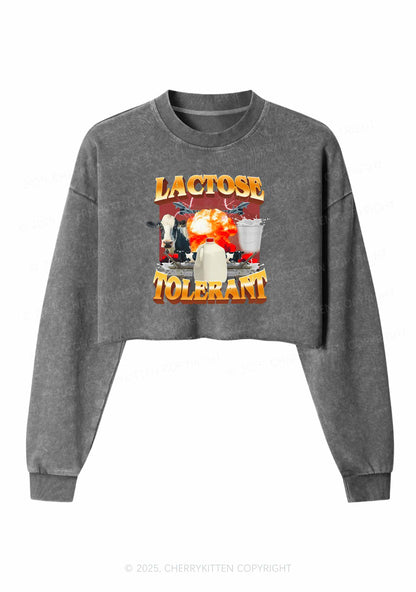 Retro Milk Lactose Tolerant Y2K Crop Washed Sweatshirts Cherrykitten