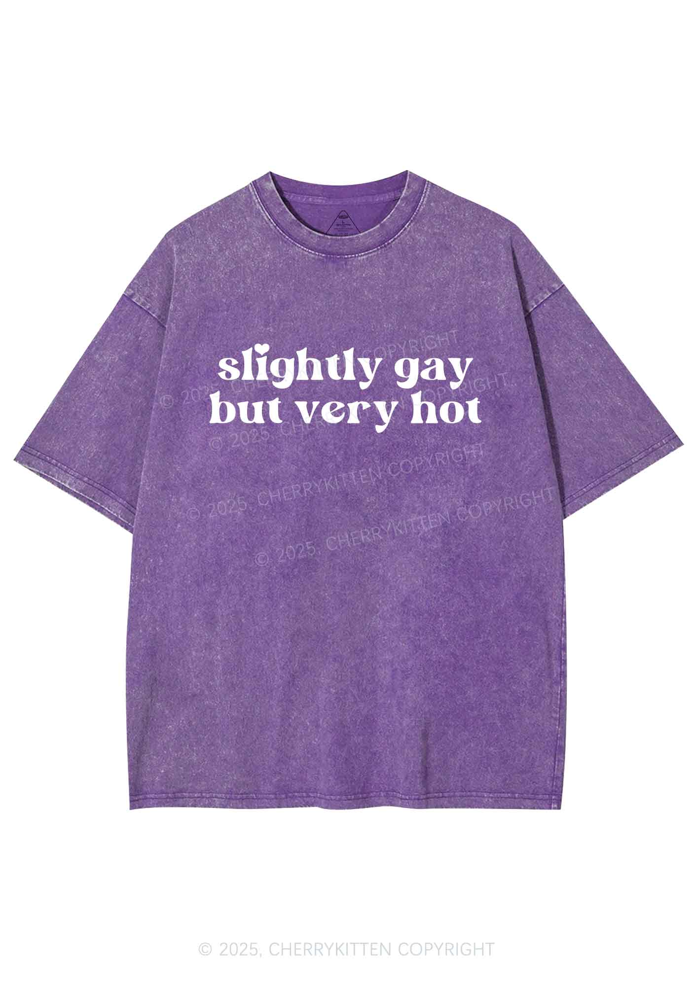 Slightly Gay But Very Hot Pride Y2K Shirts Washed Tee Cherrykitten
