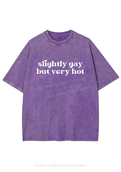 Slightly Gay But Very Hot Pride Y2K Shirts Washed Tee Cherrykitten