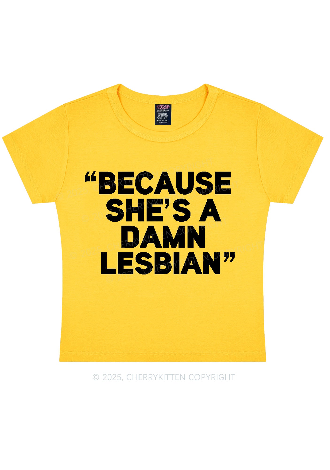 She's A Damn Lesbian Y2K Baby Tee Cherrykitten