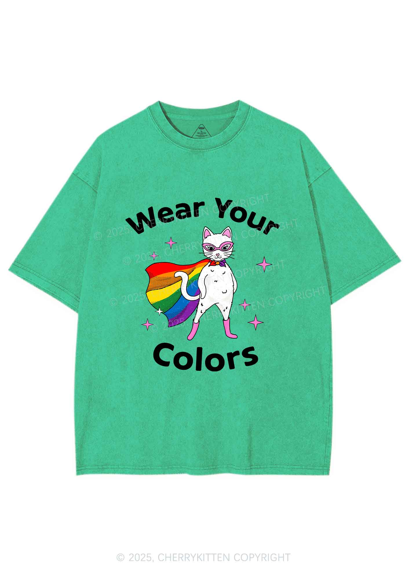 Pride Flag Cat Y2K Shirts Washed Tee Cherrykitten