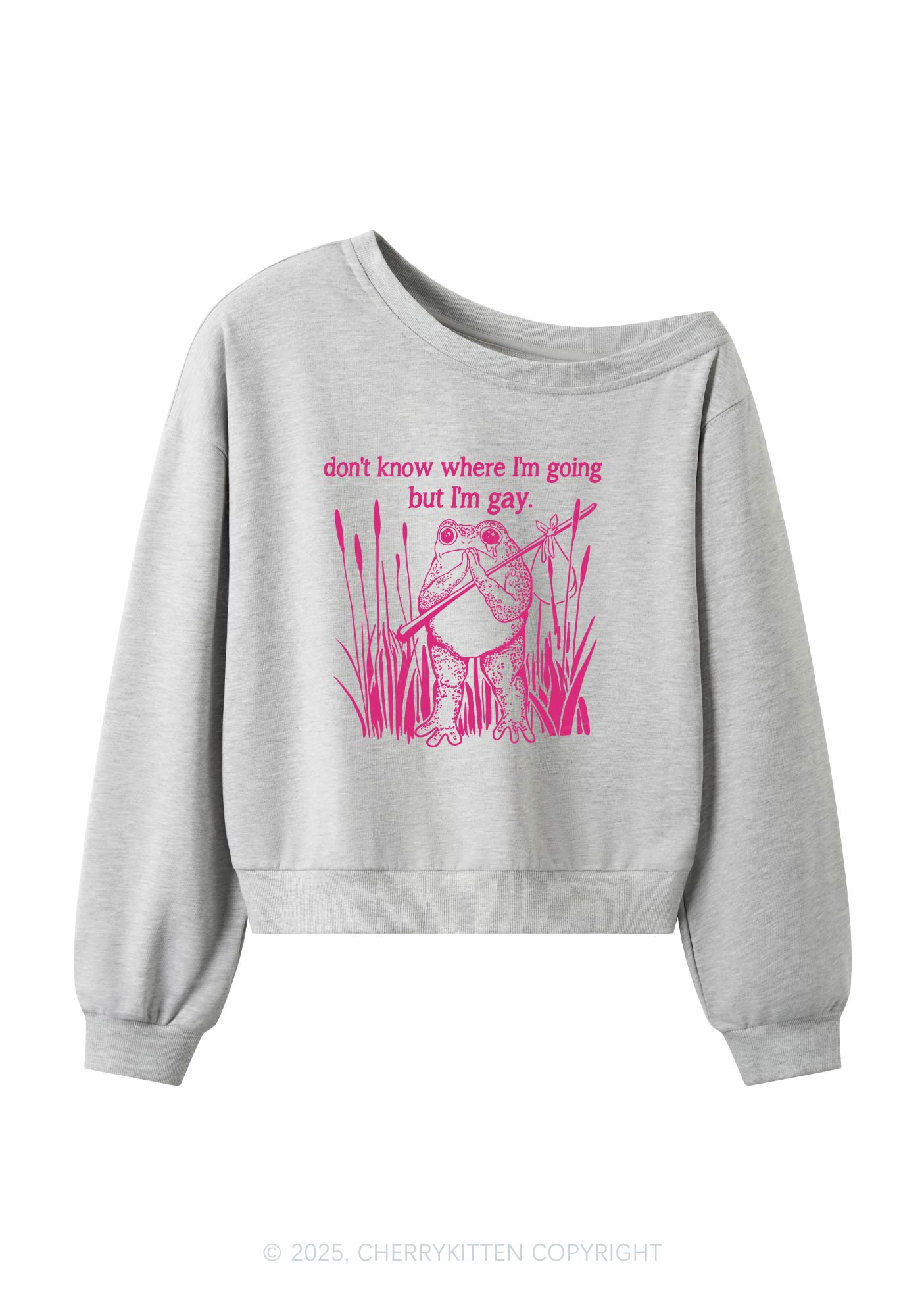 But I Am Gay Frog Pride Y2K Off Shoulder Sweatshirts Cherrykitten