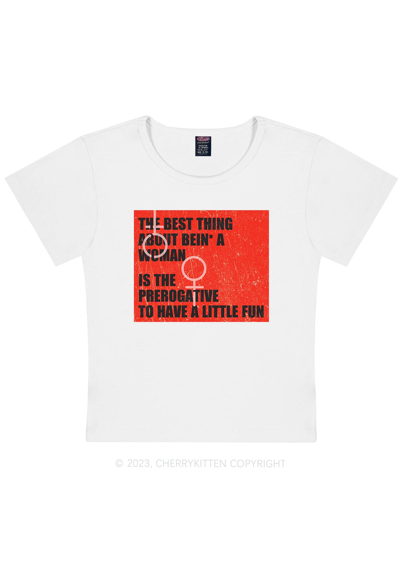 Curvy Woman Prerogative Y2K Baby Tee Cherrykitten