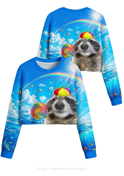 Rainbow Lollipop Raccoon Y2K Crop Knit Sweatshirt Cherrykitten
