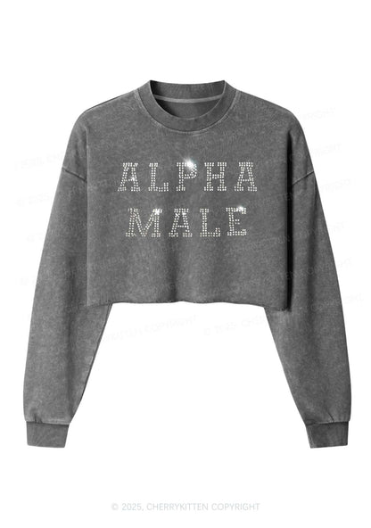 Rhinestone Alpha Male Y2K Crop Washed Sweatshirts Cherrykitten