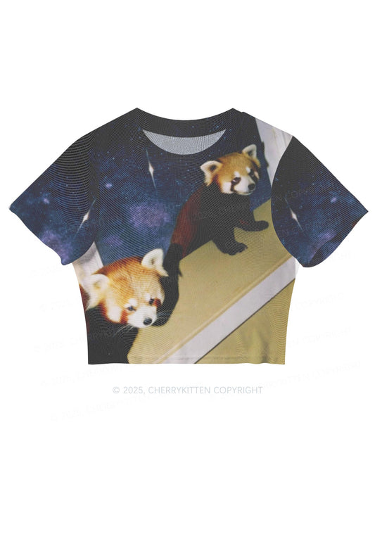 Raccoon Friends Y2K Mesh Crop Top Cherrykitten