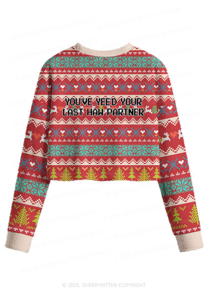 Your Last Haw Partner Y2K Christmas Crop Knit Sweatshirt Cherrykitten