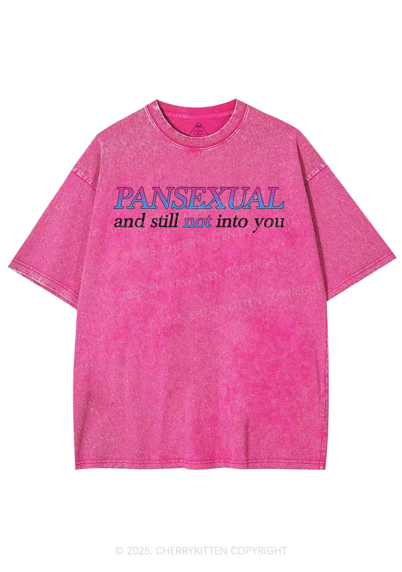 Pansexual Still Not Into You Pride Y2K Shirts Washed Tee Cherrykitten